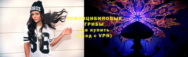 МДПВ Горно-Алтайск