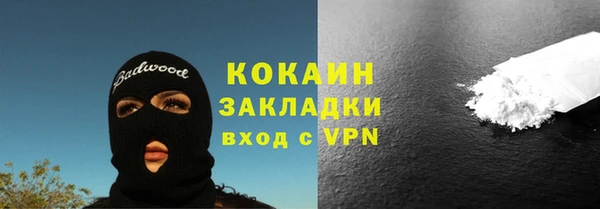 PSILOCYBIN Вяземский