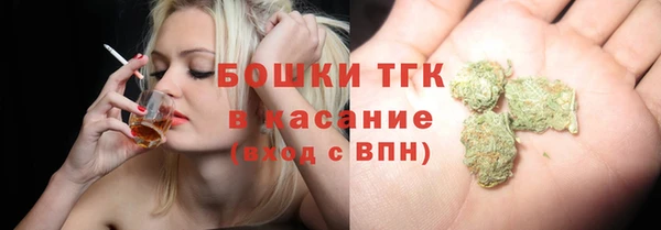 PSILOCYBIN Вяземский