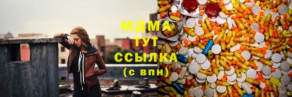 PSILOCYBIN Вяземский